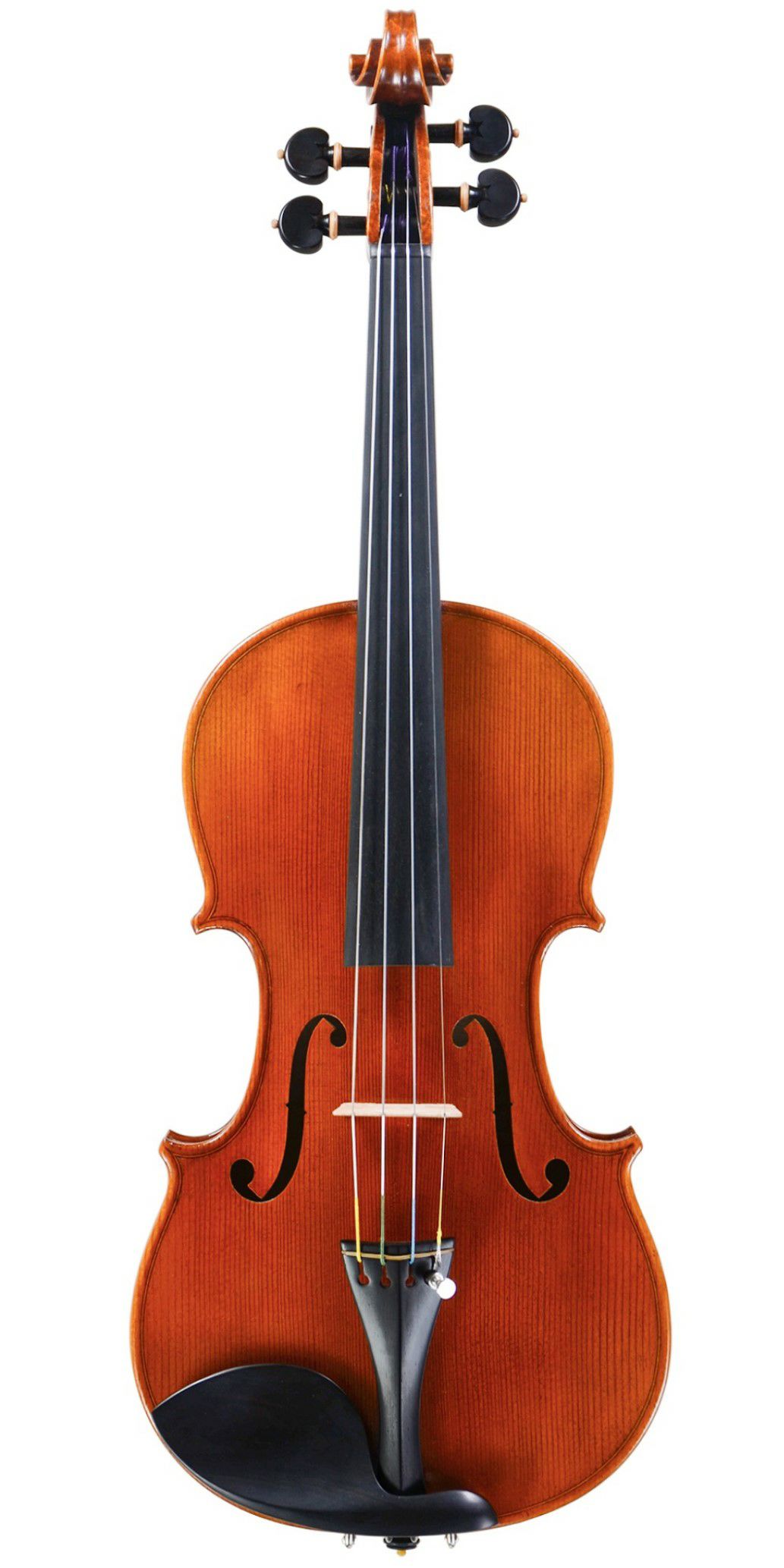 VIOLIN | アルシェ公式オンラインショップ